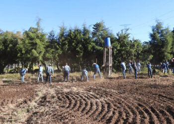 Forman a futuros profesionales del agro en temas de hortalizas en campo abierto