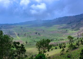 Frío extremo y suelos secos elevan el riesgo para cultivos y ganadería