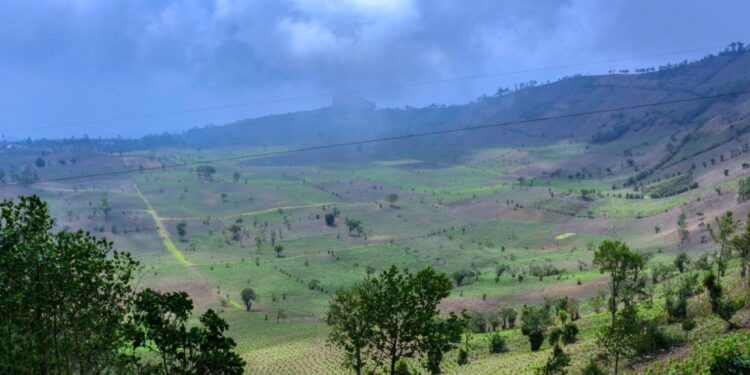 Frío extremo y suelos secos elevan el riesgo para cultivos y ganadería