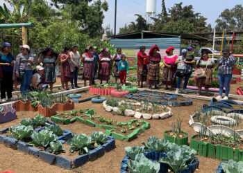 Granja Integral Agropecuaria impulsa aprendizaje y producción sostenible