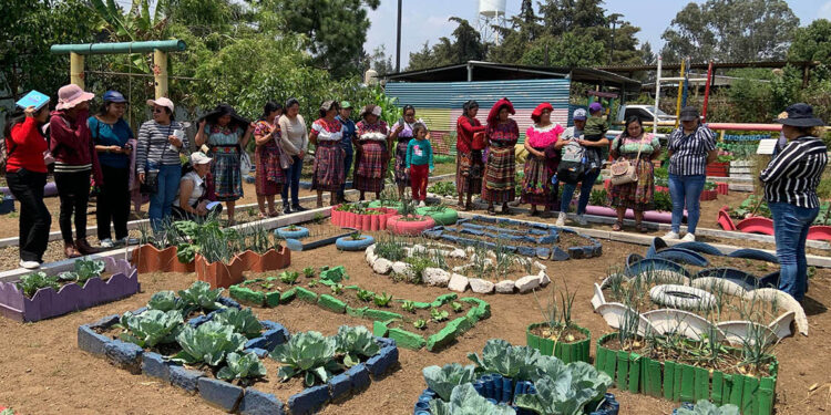 Granja Integral Agropecuaria impulsa aprendizaje y producción sostenible