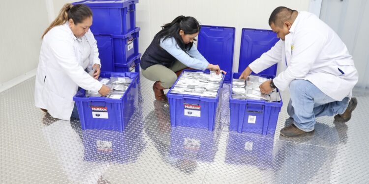 Hecho histórico: Guatemala envía primeras semillas a la “Bóveda del Fin del Mundo”