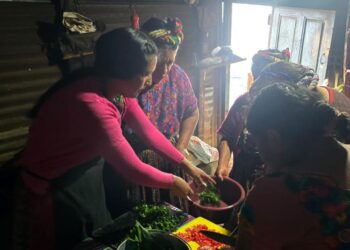 Hortalizas locales fortalecen nutrición de familias quetzaltecas
