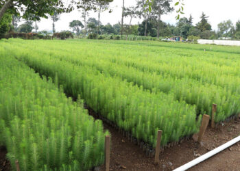 Impulsan acciones para la reducción de emisiones de CO₂