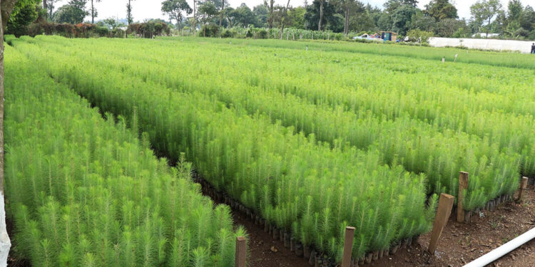 Impulsan acciones para la reducción de emisiones de CO₂