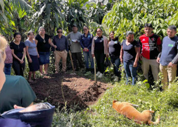 Impulsan la creación de huertos familiares en la aldea Loma Linda, Quetzaltenango