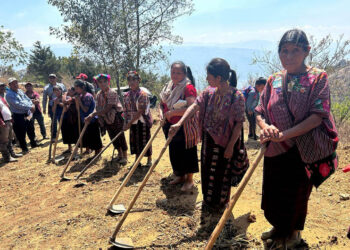 Inicia postulación al programa Alimentos por Acciones