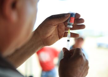 La vacunación es clave para prevenir la rabia bovina en el país