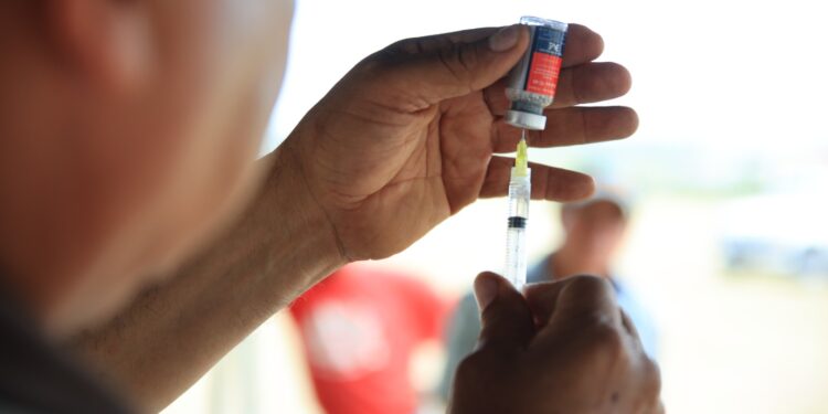 La vacunación es clave para prevenir la rabia bovina en el país