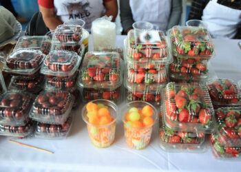 Loncheras nutritivas: una opción saludable para el inicio del año escolar