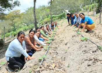 Los huertos comunitarios, alternativa que fortalece la seguridad alimentaria y el desarrollo local