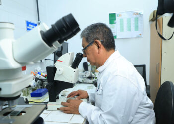 Más de 11 mil análisis fortalecen la vigilancia fitosanitaria en el país