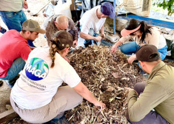 Mejoran rendimiento de cultivos con agricultura sostenible