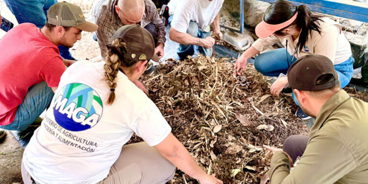 Mejoran rendimiento de cultivos con agricultura sostenible