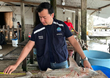 Monitoreo de pesca artesanal en Livingston