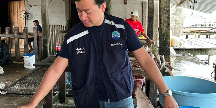 Monitoreo de pesca artesanal en Livingston