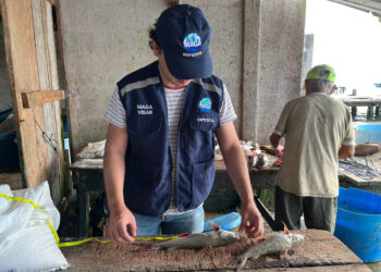 Monitoreo pesquero en Livingston fortalecerá manejo sostenible de especies