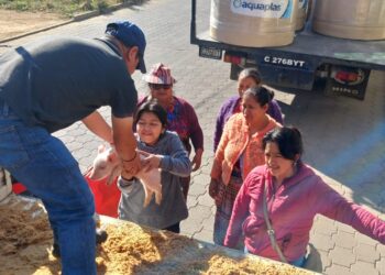 Mujeres de Olintepeque fortalecen la porcicultura familiar y la economía de sus hogares