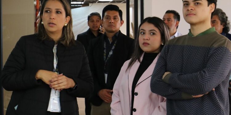 Consolidamos nuestro liderazgo ambiental con recertificación y reconocimientos de Oficina Verde