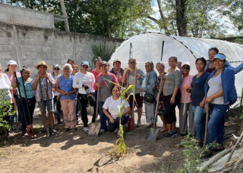 Producción de pilones en Zacapa beneficiará a más de dos mil familias