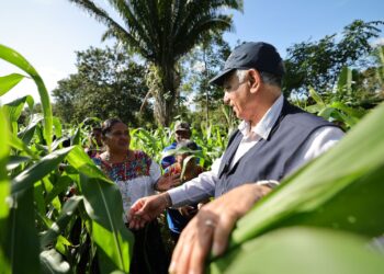 Productoras de Raxruhá contribuyen con la seguridad alimentaria