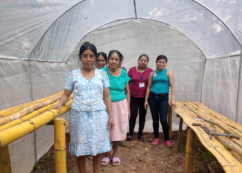 Productores de Zacapa reciben apoyo con estructuras para piloneras