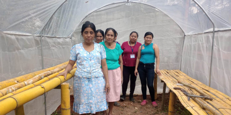 Productores de Zacapa reciben apoyo con estructuras para piloneras