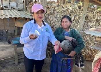 Protegen patrimonio avícola de productoras con jornada de vacunación