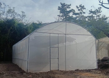 Proyecto de piloneras fortalecerá la economía local de Chiquimula