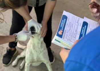 Realizan jornada de vacunación y desparasitación en San Raymundo