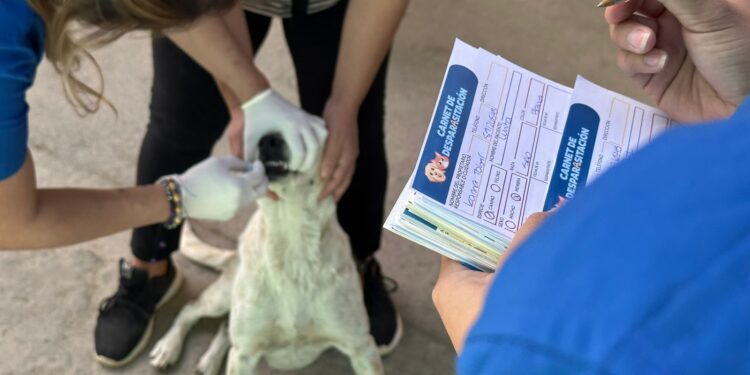 Realizan jornada de vacunación y desparasitación en San Raymundo