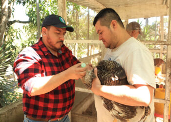 Recomendaciones para la protección pecuaria por las bajas temperaturas