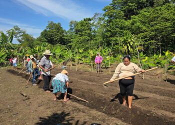 Sembrando salud desde un huerto de Santa Lucía Cotzumalguapa