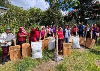Sistema patio fortalece la producción y el autoconsumo de más de 51 mil pequeños agricultores