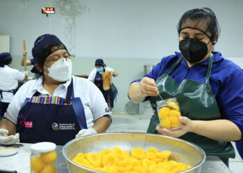 Transformación de alimentos impulsa ingresos y reduce pérdidas en el campo