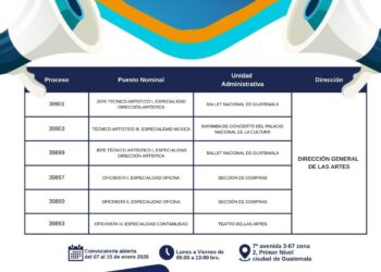 Convocatoria externa Dirección General de las Artes