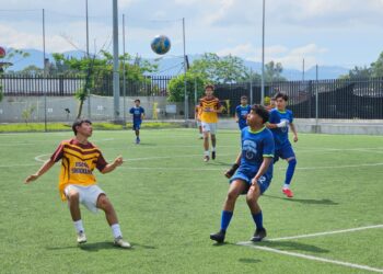 Liga Deportiva MCD impulsa el deporte nacional y proyecta un 2026 con más ligas, disciplinas y oportunidades