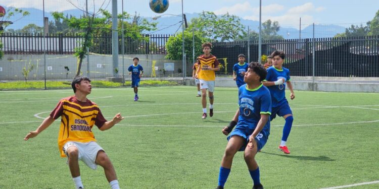 Liga Deportiva MCD impulsa el deporte nacional y proyecta un 2026 con más ligas, disciplinas y oportunidades