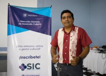 El Sistema de Información Cultural en números