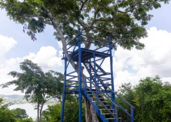 Acceso al Mirador del Rey Kan Ek’ permanece temporalmente cerrado por trabajos de mejoramiento