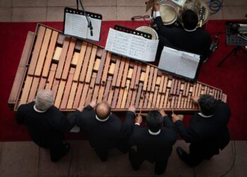 Febrero: celebramos nuestro instrumento nacional con una serie de conciertos