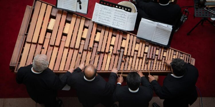 Febrero: celebramos nuestro instrumento nacional con una serie de conciertos