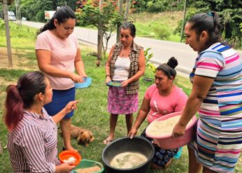 El ABC de las AMER: apoyo al agro en cada municipio