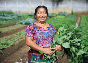 Plantas nativas: base de la agricultura familiar y la seguridad alimentaria