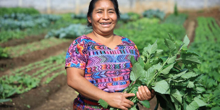 Plantas nativas: base de la agricultura familiar y la seguridad alimentaria
