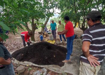 Abono Bocashi: fertilidad para los cultivos y ahorro para los productores