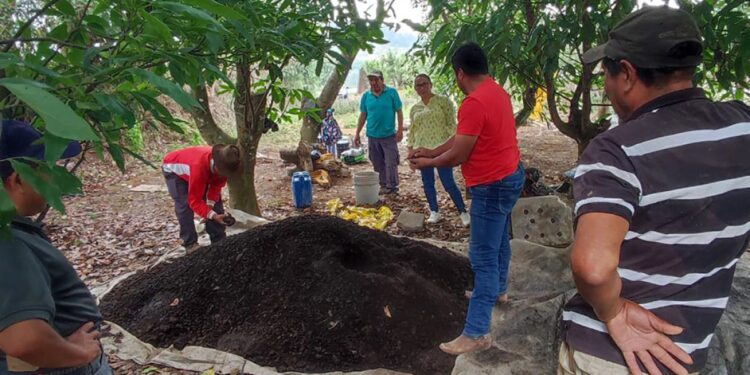 Abono Bocashi: fertilidad para los cultivos y ahorro para los productores