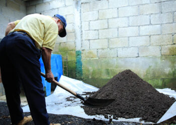 Abono orgánico fortalece la agricultura sostenible y reduce costos