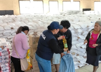 Alimentos llegan a más de 11 mil familias en situación de inseguridad alimentaria