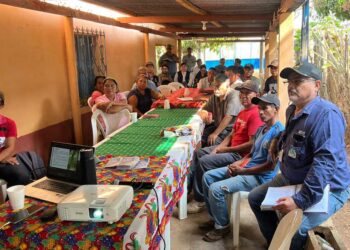 Apuestan por la tilapia para mejorar su alimentación y generar ingresos